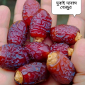 Dabas Dates/ Dabbas Khejur/ Dabas Dates- 500gm & 1kg Dubai. 