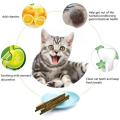 6pcs Natural Matatabi Cat Stick Mint Caught Bite Excited Rods Silvervine For Cat Teeth Cleaning Treating Pet Supply Cat Toys.