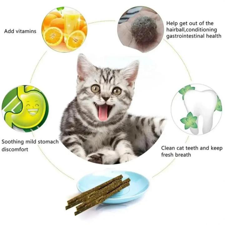 6pcs%20Natural%20Matatabi%20Cat%20Stick%20Mint%20Caught%20Bite%20Excited%20Rods%20Silvervine%20For%20Cat%20Teeth%20Cleaning%20Treating%20Pet%20Supply%20Cat%20Toys%20-%20Image%205