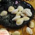 20Pcs Natural Beads with Drilled Hole DIY Craft Tribal Jewelry cessory. 