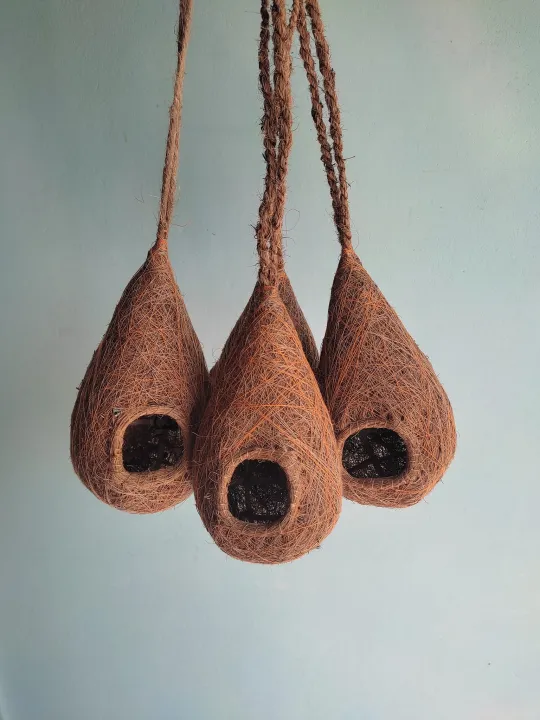 Handmade%20organic%20bird%20nest%20-%20Babui%20Pakhir%20Basha%20-%20Image%204