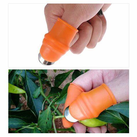 Silicone Vegetable And Fruits Thumb Cutter Finger cutter - 1 pair
