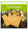 Waterproof Mango Paper Bag 10 Pieces. 
