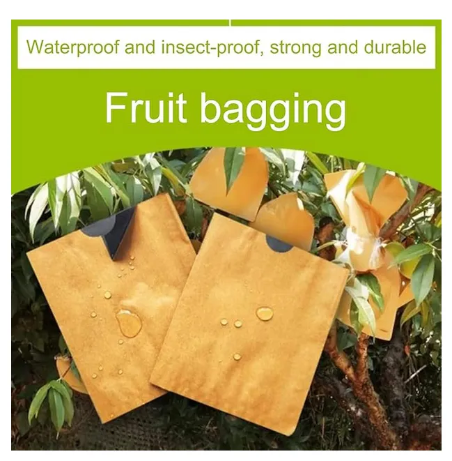Waterproof%20Mango%20Paper%20Bag%2010%20Pieces%20-%20Image%203