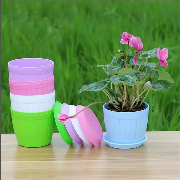 Colorful%20Flower%20Pots%203%20Inchi(7.5cm)%205%20pcs%20with%20nice%20tray%20-%20Image%203