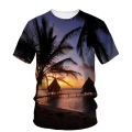 Fashion Sun Beach Boy T-shirt 3D print coconut tree shirt summer leisure oversized hip hop handsome high quality comfortable top.