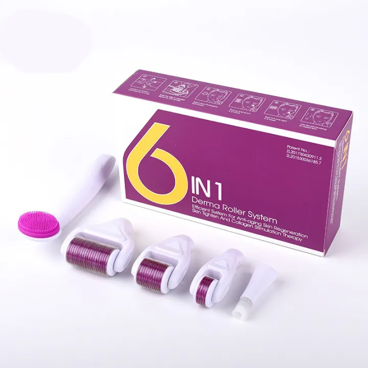 Dermaroller,%20Face%20Dermaroller,%206%20in%201%20Derma%20Roller%20Kit%20for%20Skin%20Regeneration,%20Anti-Wrinkle,%20Acne%20Scar%20Removal,%20Contractive%20Pores,%20Stretch%20Marks%20-%20for%20Body,%20Face,%20Eyes%20-%20Image%203
