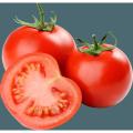 All Season Ratan Tomato Beez 10pcs HYBRID.