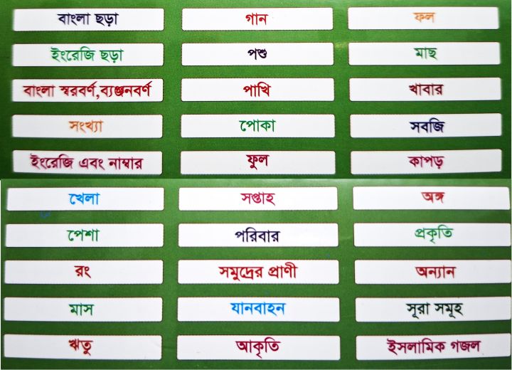 Zayan%20Talking%20Flash%20Card%20for%20Kids%20%E2%80%93%20165%20Flash%20Cards%20Reader%20Bangla%20English%20Learning%20Toy%20(Rechargeable)%20-%20Image%204