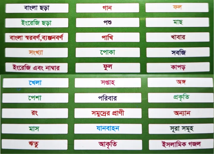 Zayan%20Talking%20Flash%20Card%20for%20Kids%20%E2%80%93%20165%20Flash%20Cards%20Reader%20Bangla%20English%20Learning%20Toy%20(Rechargeable)%20-%20Image%204