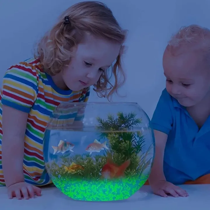 1000%20Pcs/bag%20%20Luminous%20Sand%20(%203/5mm)%20Glow%20in%20Night%20stone%20pebbles%20for%20Gardening%20Aquarium%20Landscaping%20Fluorescent%20-%20Image%205