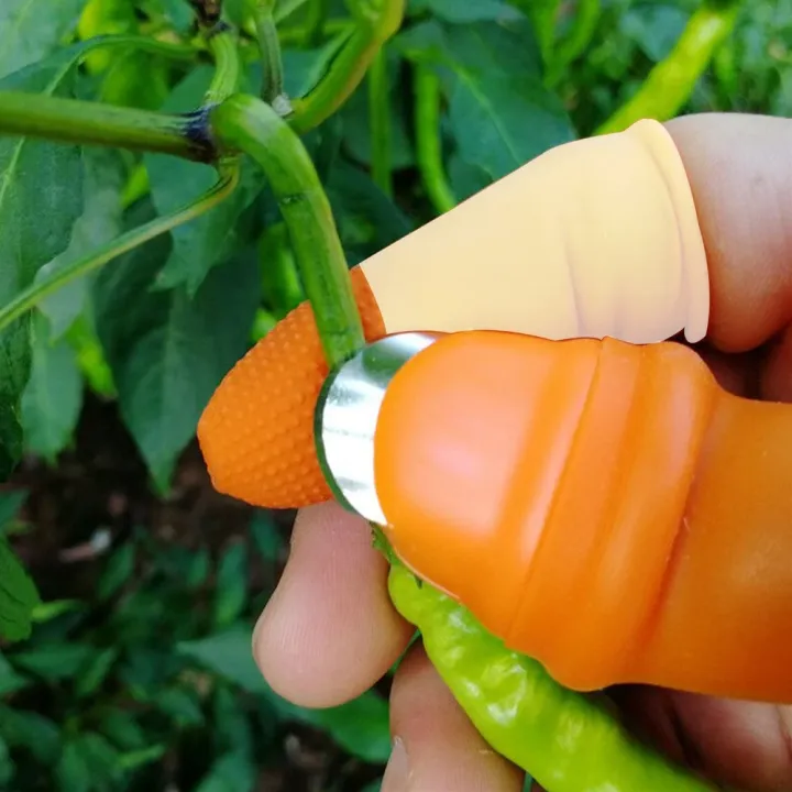 5%20in%201%20Silicone%20Vegetable%20And%20Fruits%20Thumb%20Cutter%20Finger%20Cutter%20-%20Image%204