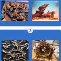GC 50g Fast-drying Glue Strong Adhesive Safe Non-toxic Glue Aquarium Landscape Supplies specification. 