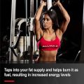 ALLMAX Nutrition Liquid L-Carnitine 1500-473 ml. 