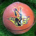 Basket Ball - 5 No Size. 