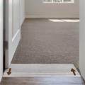 Cat Carpet Protector Mat Clear Cats Scratch Deterrent Rug Protector from Cats 31cmx250cm. 