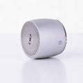 Portable Bluetooth Wireless Speaker EWA A103 -Silver.