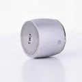 Portable Bluetooth Wireless Speaker EWA A103 -Silver. 