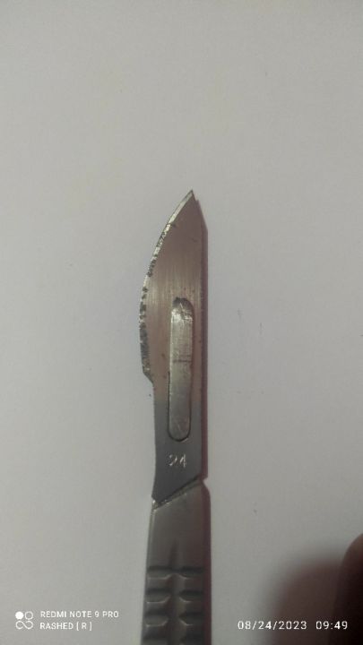 Surgical%20Blades%2024%20NUMBER%20(10%20pcs)%20-%20Image%202