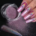 Holographic Chrome Nail Powder Glitter Laser Silver Rose Gold Nail Art Pigment Polish Rub Dipping Dust Flakes 3D Manicure TR1028. 