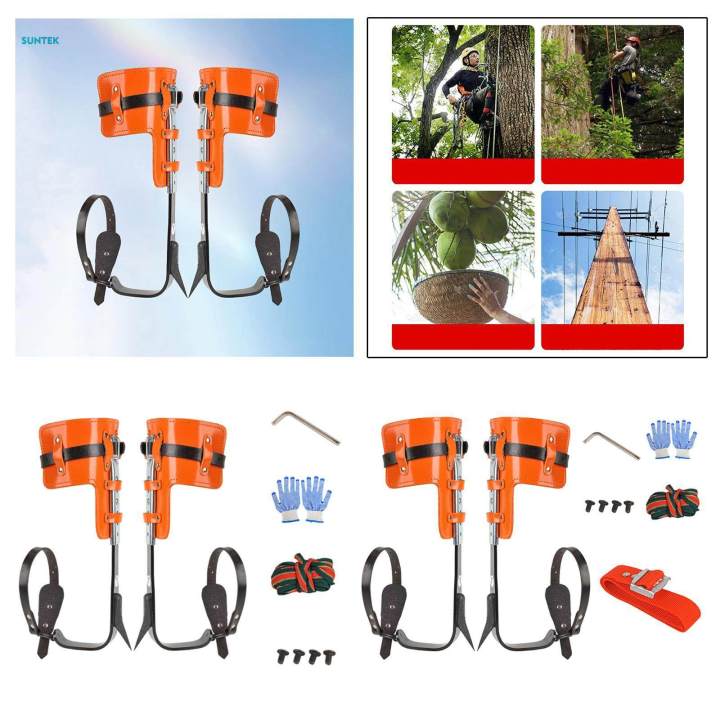 Tree Climbing Spikes Tree Climbing Gear for Fruit Picking Outdoor Sports