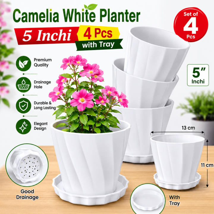 Camelia White Planter 5 Inchi 4 Pcs with Tray