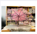 Transparent Umbrella For Rainy season and fashion Umbrella.