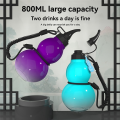 Chinese Retro-Inspired Gourd Style Water Bottle 800ML Gourd Water Bottle Gourd Sports Water Bottle.