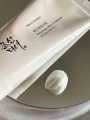Beauty Of Joseon Sunscreen 10gm Rice + Probiotics Spf 50+ Pa++++. 