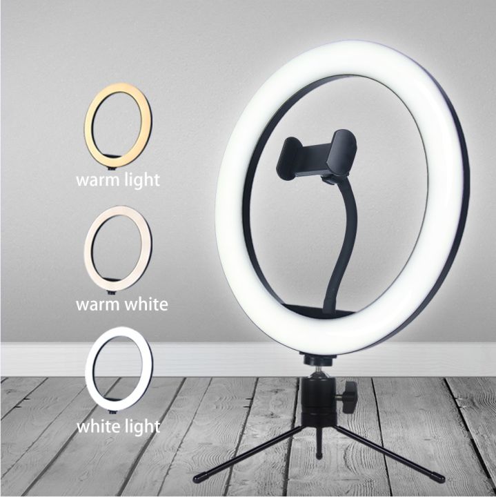 10 inch LED Ring Fill Light Ring light Photography Beauty Light with 3 light modes, 11 adjustable brightness level