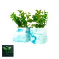 Square Marble design Mini Cement Pot with Artificial Plant – Stylish Home & Office Table Décor.