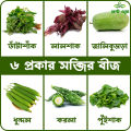 6 type of vegetable seeds (300 seeds total) Data shak, lalshak, jali kumra, dhundol, korola, puishak - Minimalistic Sophistication.