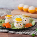 Baby Rice Ball Mold Shakers Food Decoration Kids Lunch DIY Sushi Maker Mould. 