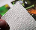 Papertree Artist Quality Canvas Paper 10 Pcs Pack for Water/Oil/Acrylic/Gouache - High-Quality Canvas Sheets for Art Supplies. 