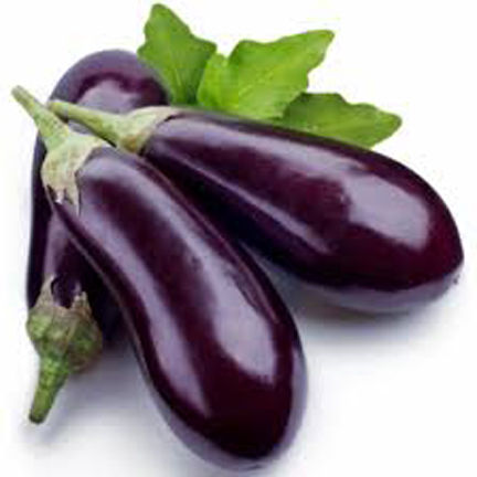 Black%20Long%20Eggplant%20Brinjal%20Begun%20-50%20seeds%20-%20Image%202
