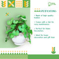 Artificial Thankuni pata Plant In Round Ceramic pot- Thankuni pata With Tub - Home Decoration Item - Home Decoration Item - artificial flower-Artificial Thankuni leaves Plants.