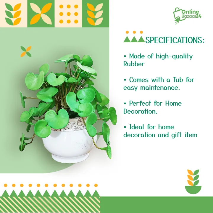 Artificial%20Thankuni%20pata%20Plant%20In%20Round%20Ceramic%20pot-%20Thankuni%20pata%20With%20Tub%20-%20Home%20Decoration%20Item%20-%20Home%20Decoration%20Item%20-%20artificial%20flower-Artificial%20Thankuni%20leaves%20Plants%20-%20Image%203