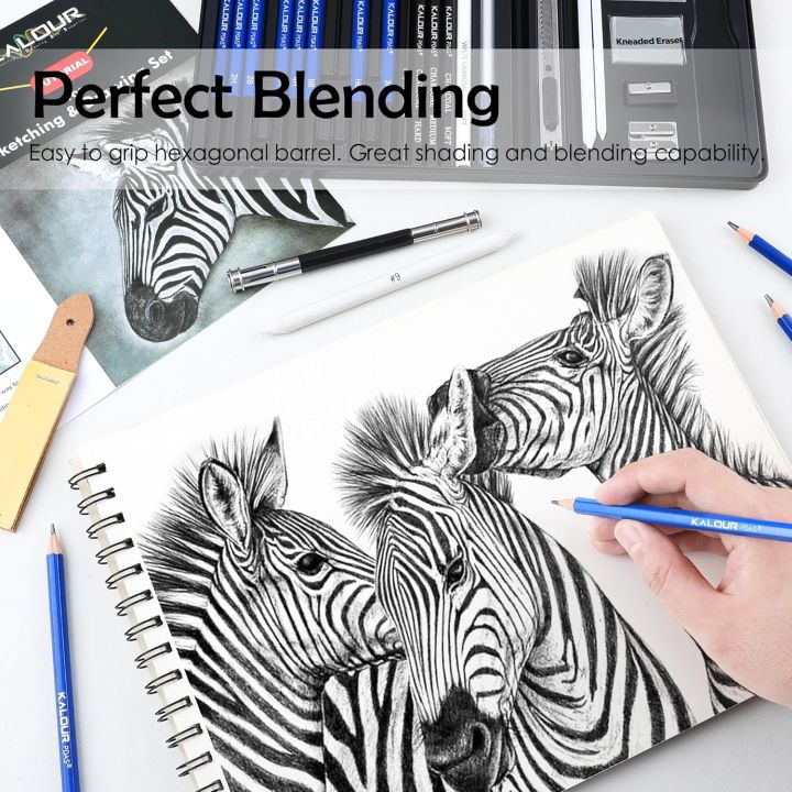 KALOUR%20PDAS%20Drawing%20Sketching%20Pencil%20Set,%2036%20Pro%20Art%20Pencil%20Kit,%2012%20Graphite%20Pencils%20(8B-5H),%20Black%20&%20White%20Charcoal%20Pencils,%20Charcoal%20Sticks,%20Stumps,%20Eraser,%20Sharpener,%20Tutorial,%20Art%20Supplies%20-%20Image%202
