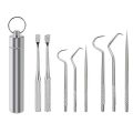 1Set Toothpick Set Stainless Steel Oral Cleaning Tooth Flossing Portable Toothpick Interdental Cleaning Tool With Storage Tube.