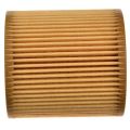 Engine Oil Filter Hu816X with Passenger Side Front/Rear Window Lifter Button Switch,for Bmw E60 E82 E88 E90 E92 E93. 