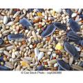 All Natural Cockatiel Blend Bird Seed - 1KG. 