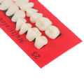 28pc Acrylic Resin Teeth Denture Upper Lower Shade 23# A2 Dental. 
