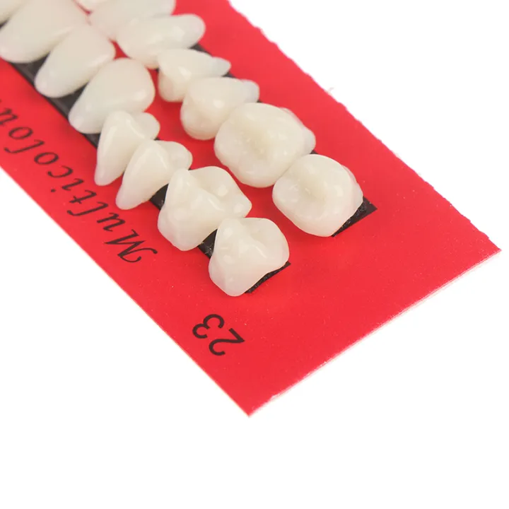 28pc%20Acrylic%20Resin%20Teeth%20Denture%20Upper%20Lower%20Shade%2023#%20A2%20Dental%20-%20Image%205