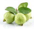 Deshi Guava Seed (পেয়ারা বীজ- ২০ পিস) ‍. 
