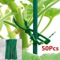 Reusable Gardening tool Plastic Shrubs Fastener Plant Cable Ties Tree Climbing Support Gardening Fishbone Ties. 