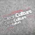 Issued Reflective Stickers CleanCulture Modified Car HF Triangle Window Front Rear Windshield. 
