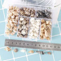 About 100Pcs/Box Natural Conch Shells Aquarium Landscape Seashells Crafts Decor Cherry Super Store. 