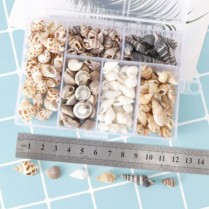 About%20100Pcs/Box%20Natural%20Conch%20Shells%20Aquarium%20Landscape%20Seashells%20Crafts%20Decor%20Cherry%20Super%20Store%20-%20Image%202