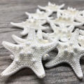 10Pcs White Knobby Star Fish Natural Dried Starfish Sea Star Beach Craft Wedding Party Home Decor DIY Hanging Ornaments Photography Props. 