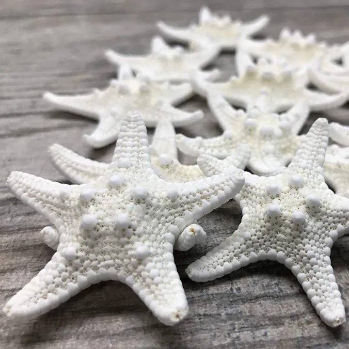 10Pcs%20White%20Knobby%20Star%20Fish%20Natural%20Dried%20Starfish%20Sea%20Star%20Beach%20Craft%20Wedding%20Party%20Home%20Decor%20DIY%20Hanging%20Ornaments%20Photography%20Props%20-%20Image%203